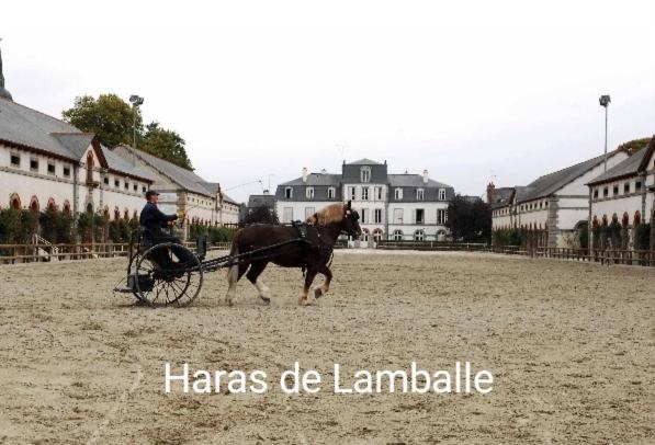 Perle Rare, Appartement Paisible Et Cosy Lamballe Ngoại thất bức ảnh
